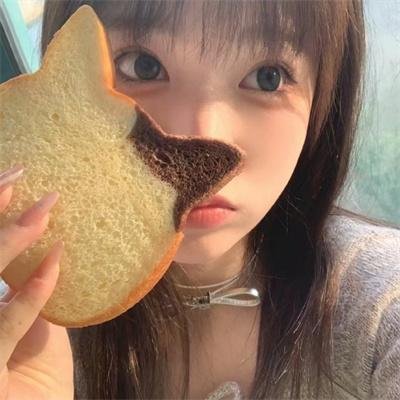 尚岷与丁尼奥